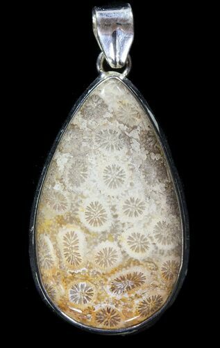 Million Year Old Fossil Coral Pendant - Sterling Silver #49565